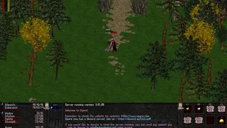 Скриншот 2 к игре Ugaris - The Legend Recovered
