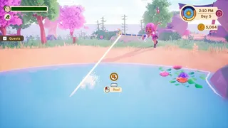 Скриншот 3 к игре Collector's Cove