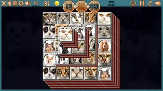 Скриншот 8 к игре Clutter Puzzle Magazine Vol. 16 No. 2 Collector's Edition