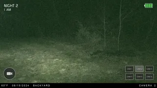 Скриншот 2 к игре Night at the Cabin