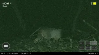 Скриншот 5 к игре Night at the Cabin