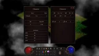 Скриншот 2 к игре Vedmaak