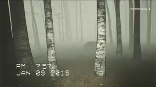 Скриншот 8 к игре The Faceless Man