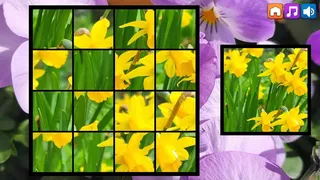 Скриншот 1 к игре OG Puzzlers: Spring 2K24