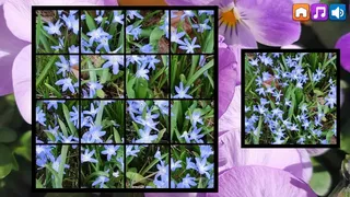 Скриншот 7 к игре OG Puzzlers: Spring 2K24
