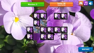 Скриншот 2 к игре OG Memory: Spring 2K24