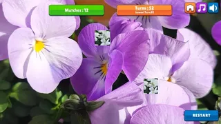 Скриншот 4 к игре OG Memory: Spring 2K24