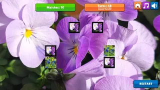 Скриншот 6 к игре OG Memory: Spring 2K24