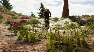 Скриншот 2 к игре BMX Wild Run