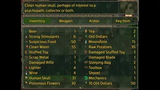 Скриншот 6 к игре Because The World Died
