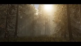 Скриншот 1 к игре Silent Mourning