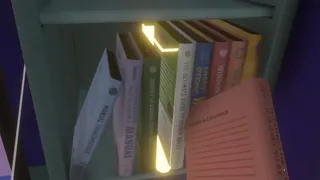 Скриншот 2 к игре IKEV