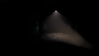 Скриншот 1 к игре Paranormal place