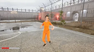 Скриншот 1 к игре Симулятор Драк На Зоне