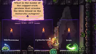 Скриншот 8 к игре The Quizard's Domain