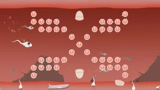 Скриншот 1 к игре Fallopian Frenzy! Come Again?