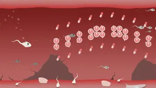 Скриншот 3 к игре Fallopian Frenzy! Come Again?