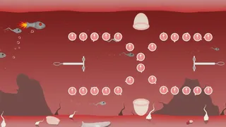 Скриншот 5 к игре Fallopian Frenzy! Come Again?