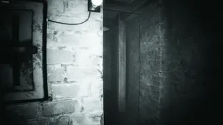 Скриншот 4 к игре Faint Call