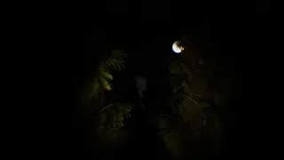 Скриншот 5 к игре Lost Souls