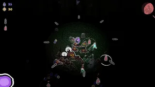 Скриншот 1 к игре Dark & Quispy