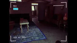 Скриншот 5 к игре Lappelduvide