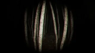 Скриншот 1 к игре Playback Trauma: The Dog