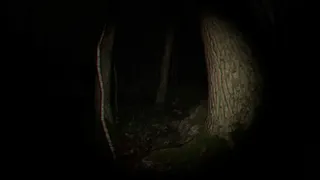 Скриншот 2 к игре Playback Trauma: The Dog