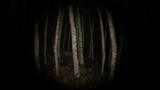 Скриншот 3 к игре Playback Trauma: The Dog