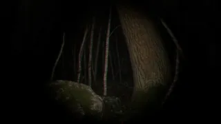 Скриншот 4 к игре Playback Trauma: The Dog