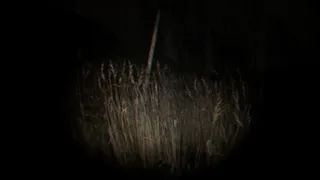 Скриншот 5 к игре Playback Trauma: The Dog
