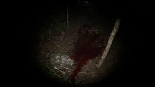 Скриншот 6 к игре Playback Trauma: The Dog