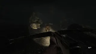 Скриншот 4 к игре Chupacabra Hunt