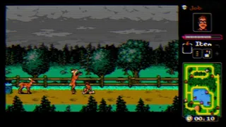 Скриншот 1 к игре Screaming Savage Blood Death