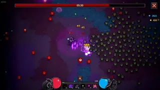 Скриншот 1 к игре Necromancer's Revenge
