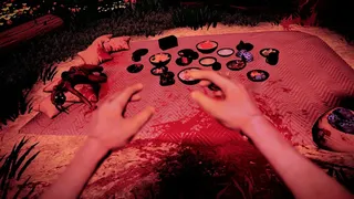 Скриншот 2 к игре Pigeon