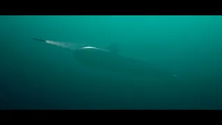 Скриншот 3 к игре ARKWHALE