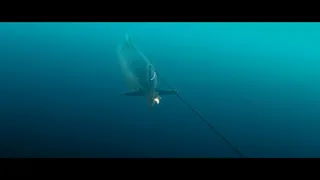 Скриншот 6 к игре ARKWHALE