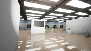 Скриншот 1 к игре Gallery X