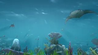 Скриншот 3 к игре Aqua TV
