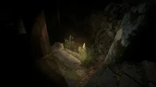 Скриншот 3 к игре 鳴蟇村