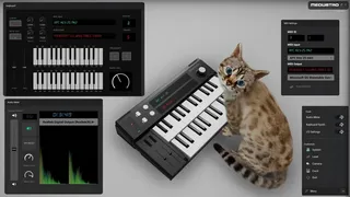 Скриншот 1 к игре Meowstro