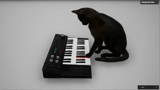 Скриншот 4 к игре Meowstro