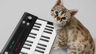 Скриншот 7 к игре Meowstro