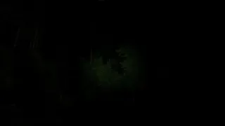 Скриншот 4 к игре Shadow of Pharos