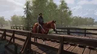 Скриншот 3 к игре Frontier Legends