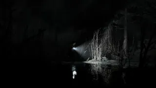 Скриншот 8 к игре Silver Pines