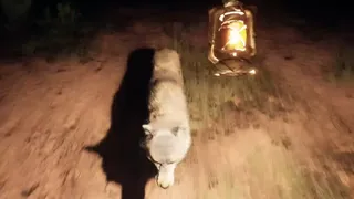 Скриншот 3 к игре The Curse of Town