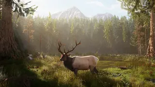 Скриншот 7 к игре Ultimate Hunting