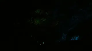 Скриншот 1 к игре Shadow Falls